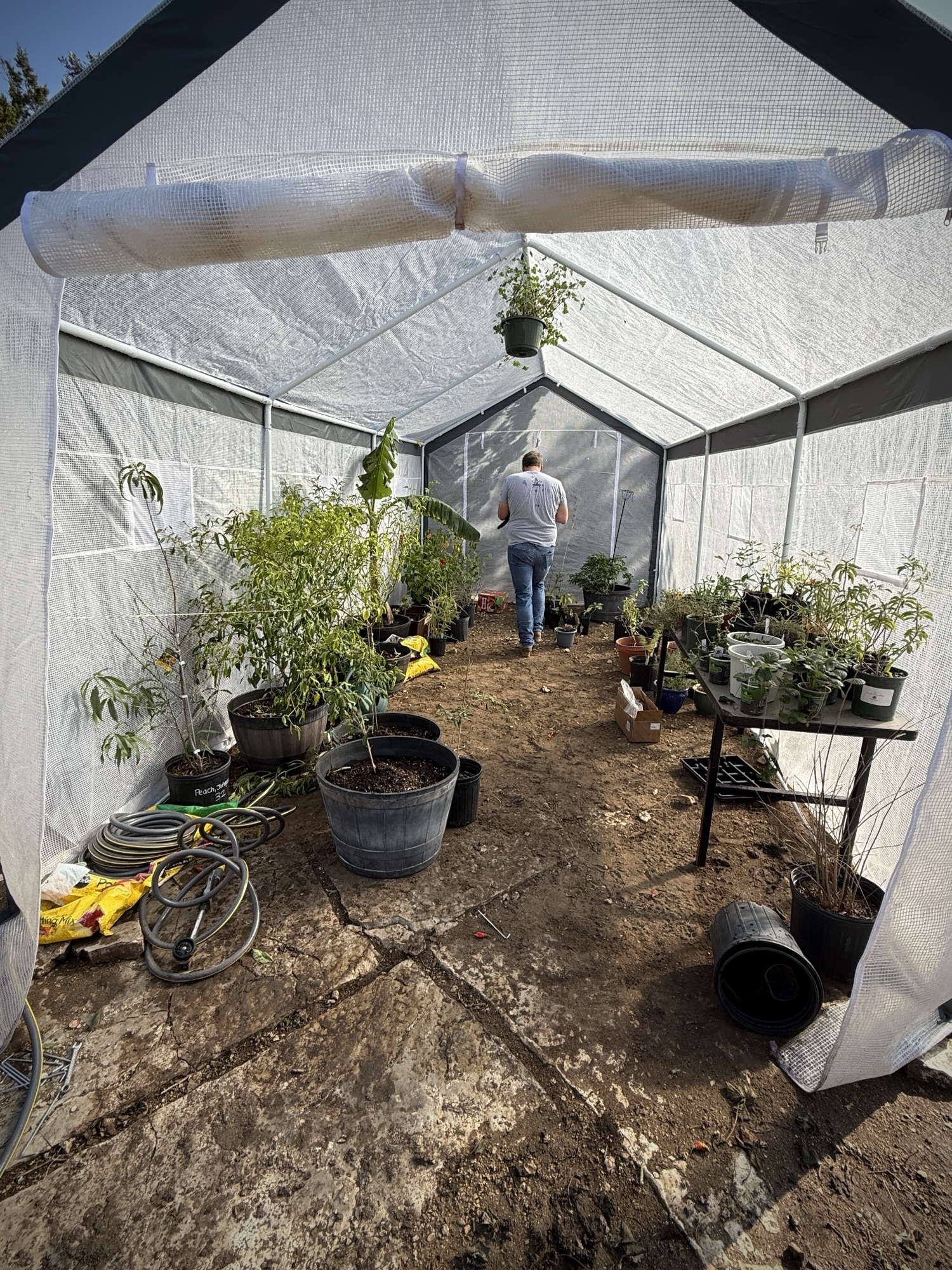 Greenhouse at The Barely Functioning Farm