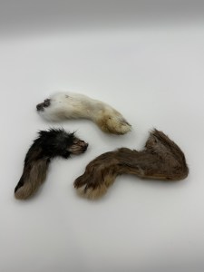 Rabbit feet dog treat, unpackaged